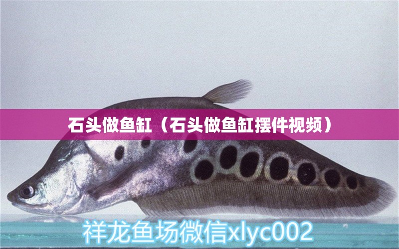 石頭做魚缸（石頭做魚缸擺件視頻） 貓貓