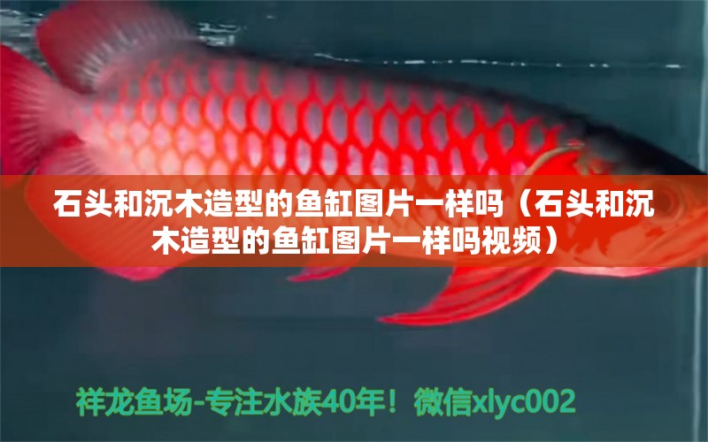 石頭和沉木造型的魚缸圖片一樣嗎（石頭和沉木造型的魚缸圖片一樣嗎視頻） 其他品牌魚缸