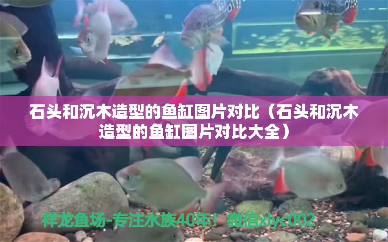 石頭和沉木造型的魚缸圖片對比（石頭和沉木造型的魚缸圖片對比大全）