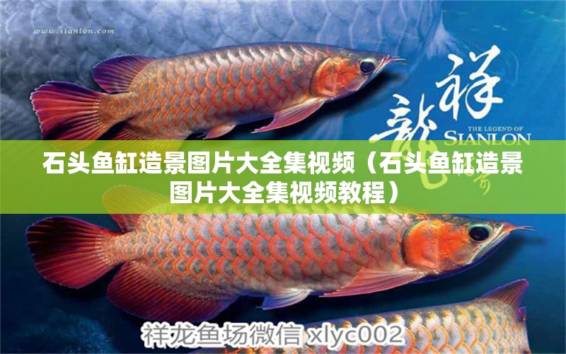 石頭魚(yú)缸造景圖片大全集視頻（石頭魚(yú)缸造景圖片大全集視頻教程） 祥龍水族醫(yī)院