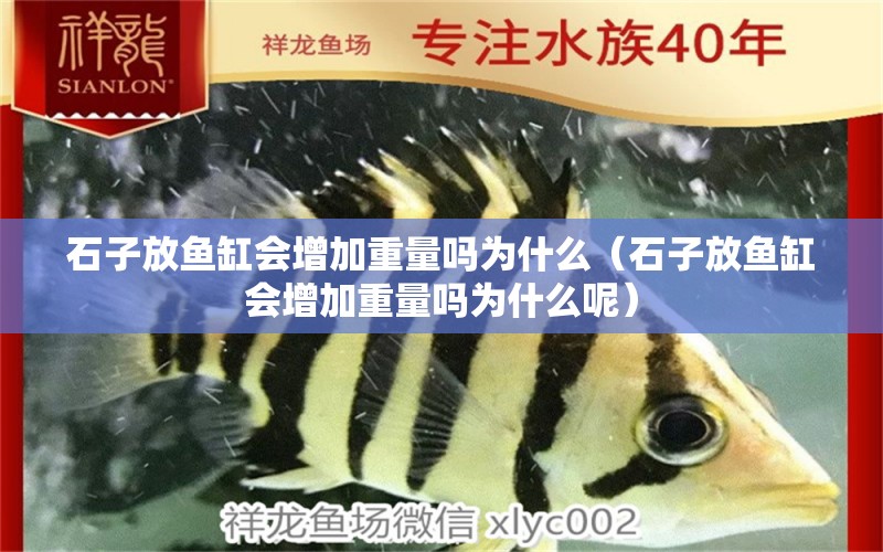 石子放魚缸會增加重量嗎為什么（石子放魚缸會增加重量嗎為什么呢） 其他品牌魚缸