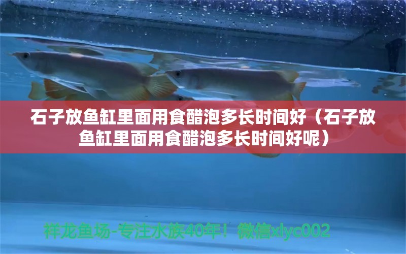 石子放魚缸里面用食醋泡多長時間好（石子放魚缸里面用食醋泡多長時間好呢） 其他品牌魚缸