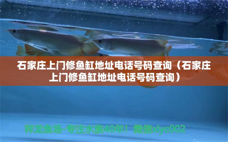 石家莊上門修魚缸地址電話號碼查詢（石家莊上門修魚缸地址電話號碼查詢）