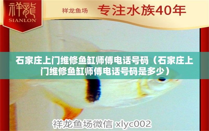 石家莊上門維修魚缸師傅電話號(hào)碼（石家莊上門維修魚缸師傅電話號(hào)碼是多少）