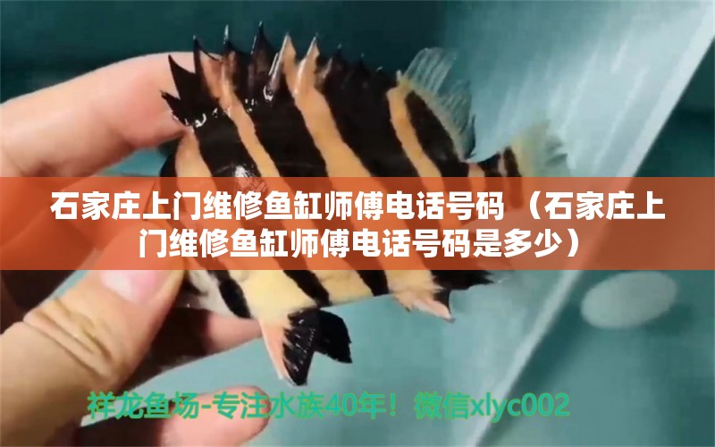 石家莊上門維修魚缸師傅電話號(hào)碼 （石家莊上門維修魚缸師傅電話號(hào)碼是多少）