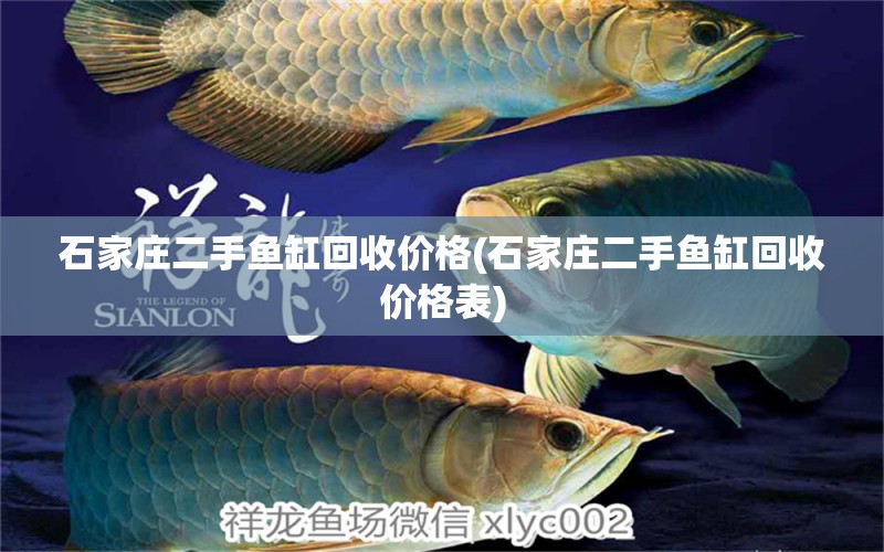 石家莊二手魚缸回收價格(石家莊二手魚缸回收價格表)