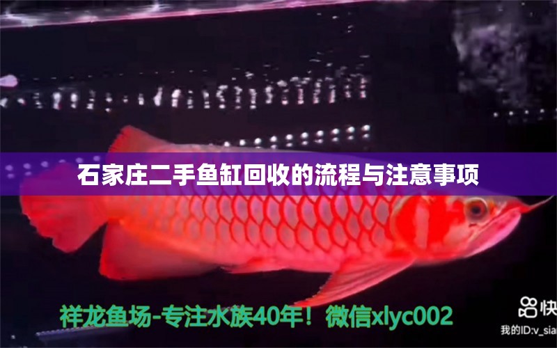 石家莊二手魚(yú)缸回收的流程與注意事項(xiàng)