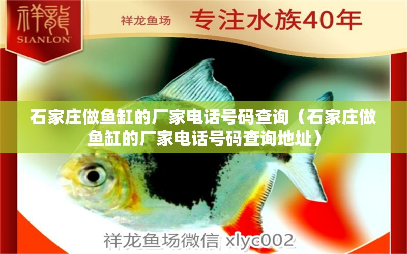 石家莊做魚(yú)缸的廠家電話號(hào)碼查詢（石家莊做魚(yú)缸的廠家電話號(hào)碼查詢地址） 祥龍水族醫(yī)院