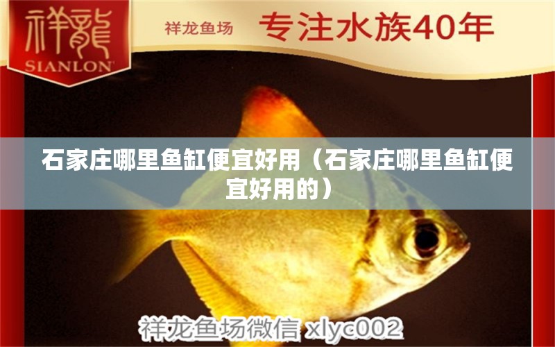 石家莊哪里魚缸便宜好用（石家莊哪里魚缸便宜好用的） 觀賞魚市場（混養(yǎng)魚）