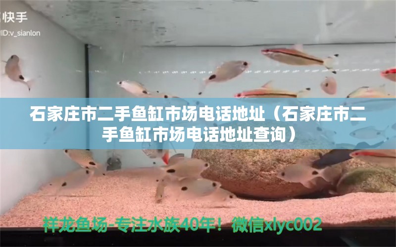 石家莊市二手魚缸市場電話地址（石家莊市二手魚缸市場電話地址查詢）