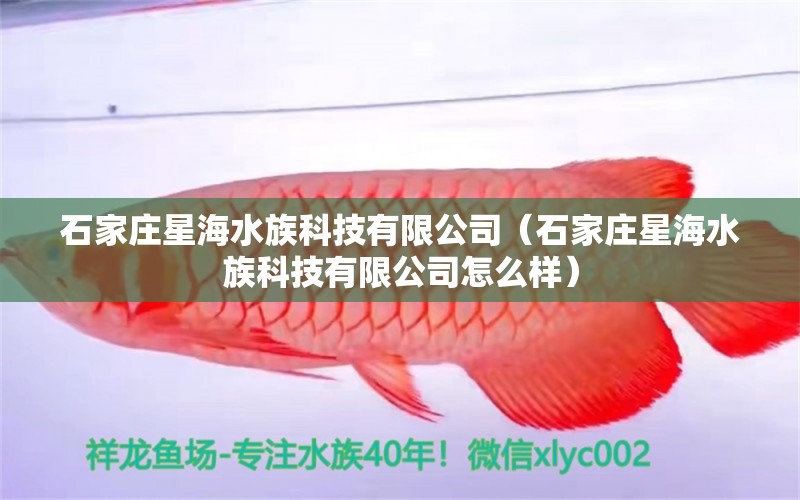 石家莊星海水族科技有限公司（石家莊星海水族科技有限公司怎么樣）