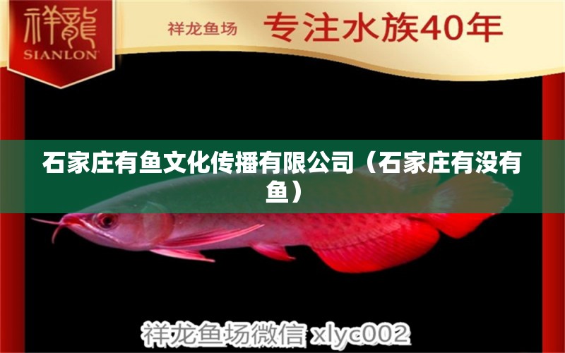 石家莊有魚文化傳播有限公司（石家莊有沒有魚） 全國水族館企業(yè)名錄