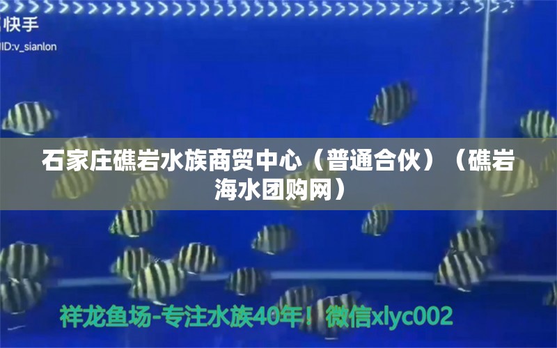 石家莊礁巖水族商貿(mào)中心（普通合伙）（礁巖海水團購網(wǎng)）