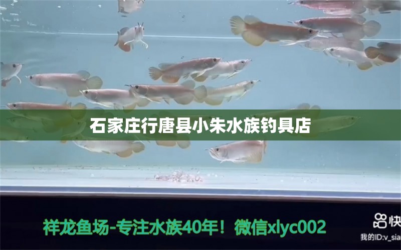 石家莊行唐縣小朱水族釣具店 垂釣樂(lè)園