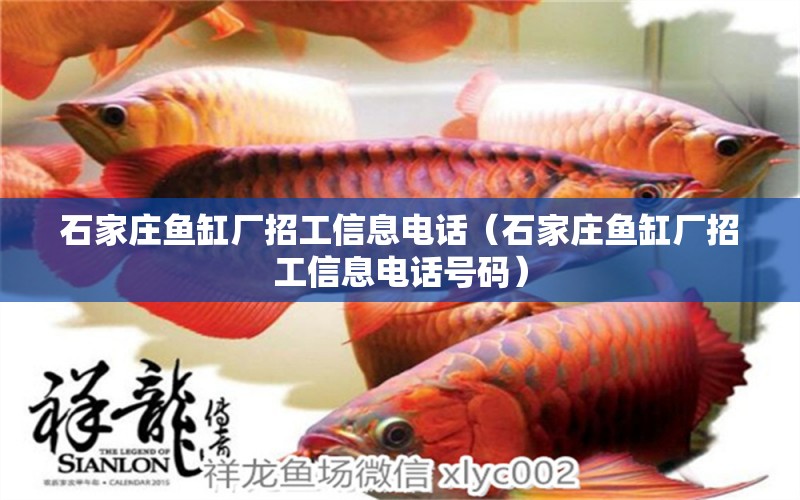 石家莊魚(yú)缸廠招工信息電話（石家莊魚(yú)缸廠招工信息電話號(hào)碼）