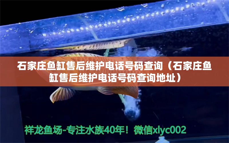 石家莊魚缸售后維護電話號碼查詢（石家莊魚缸售后維護電話號碼查詢地址） 其他品牌魚缸