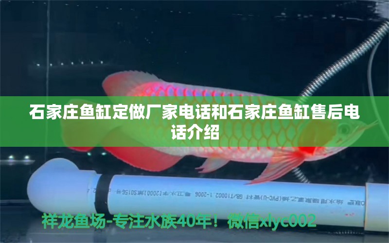 石家莊魚缸定做廠家電話和石家莊魚缸售后電話介紹 魚缸定做