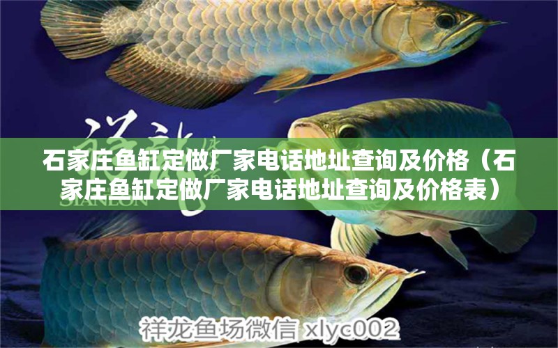 石家莊魚缸定做廠家電話地址查詢及價格（石家莊魚缸定做廠家電話地址查詢及價格表） 祥龍水族醫(yī)院