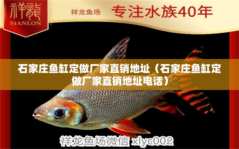 石家莊魚(yú)缸定做廠家直銷(xiāo)地址（石家莊魚(yú)缸定做廠家直銷(xiāo)地址電話）