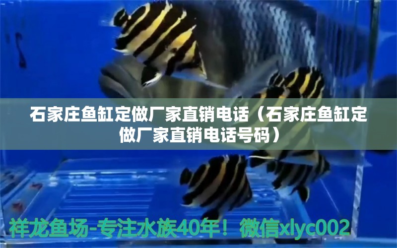 石家莊魚缸定做廠家直銷電話（石家莊魚缸定做廠家直銷電話號碼） 其他品牌魚缸