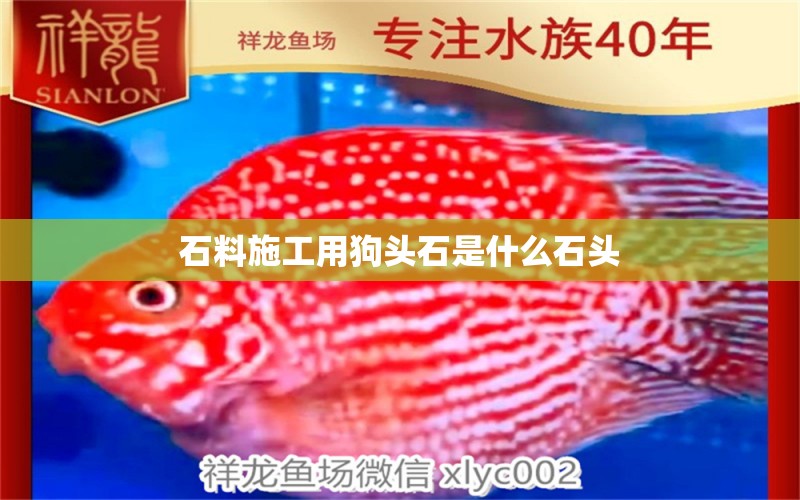 石料施工用狗頭石是什么石頭 斑馬鴨嘴魚苗