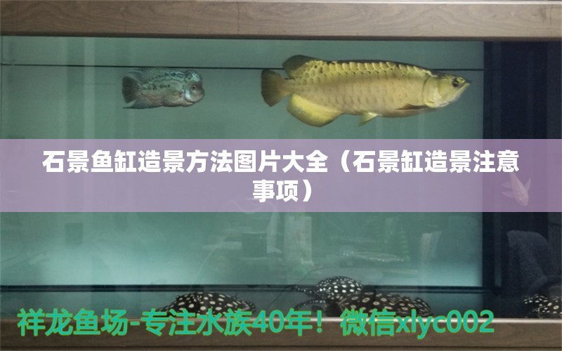 石景魚缸造景方法圖片大全（石景缸造景注意事項）