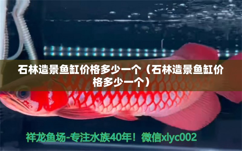 石林造景魚缸價格多少一個（石林造景魚缸價格多少一個）