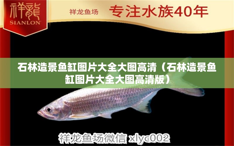 石林造景魚缸圖片大全大圖高清（石林造景魚缸圖片大全大圖高清版）