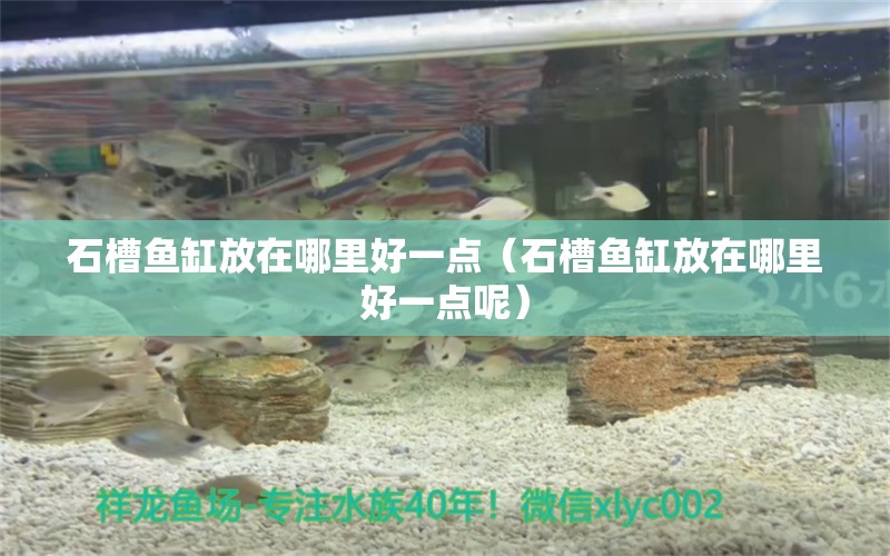 石槽魚缸放在哪里好一點(diǎn)（石槽魚缸放在哪里好一點(diǎn)呢）