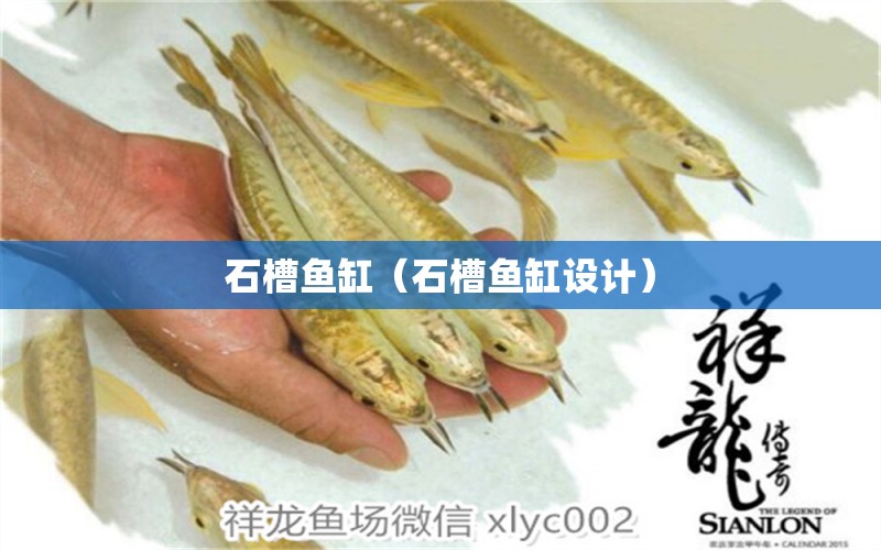 石槽魚缸（石槽魚缸設(shè)計(jì)）