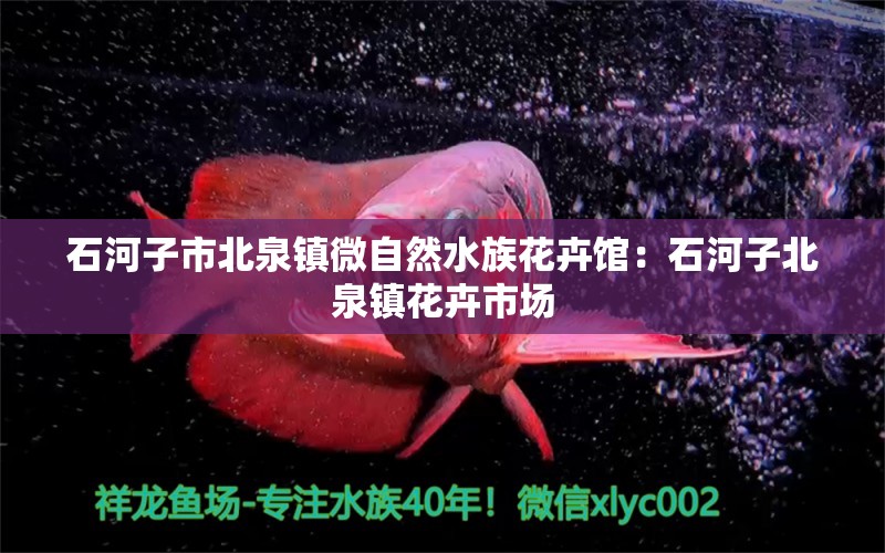 石河子市北泉鎮(zhèn)微自然水族花卉館：石河子北泉鎮(zhèn)花卉市場