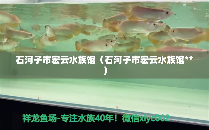 石河子市宏云水族館（石河子市宏云水族館**）