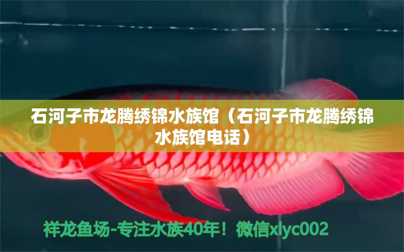 石河子市龍騰繡錦水族館（石河子市龍騰繡錦水族館電話）