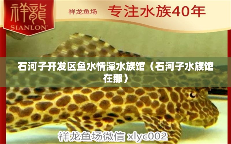 石河子開(kāi)發(fā)區(qū)魚(yú)水情深水族館（石河子水族館在那）