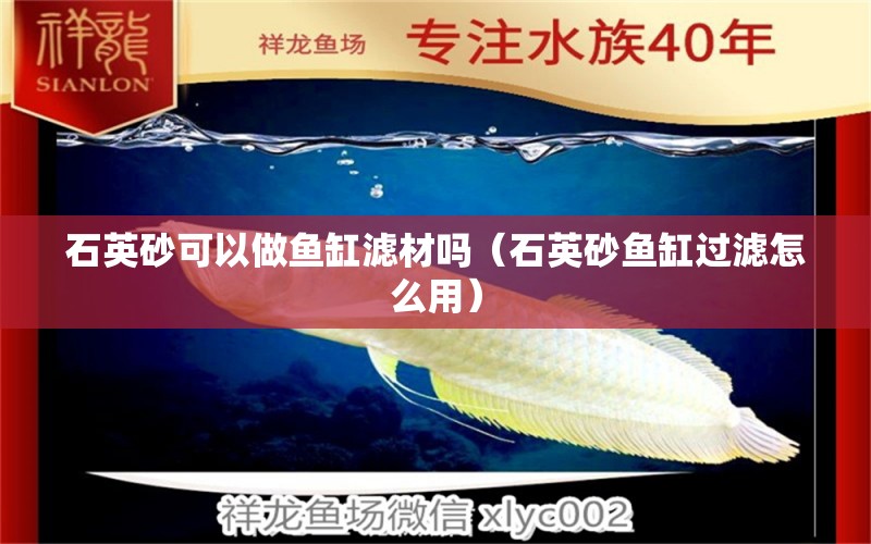 石英砂可以做魚缸濾材嗎（石英砂魚缸過濾怎么用）