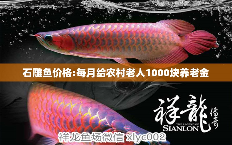 石雕魚價(jià)格:每月給農(nóng)村老人1000塊養(yǎng)老金