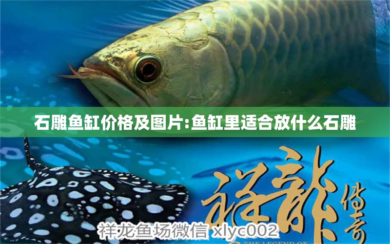 石雕魚缸價(jià)格及圖片:魚缸里適合放什么石雕