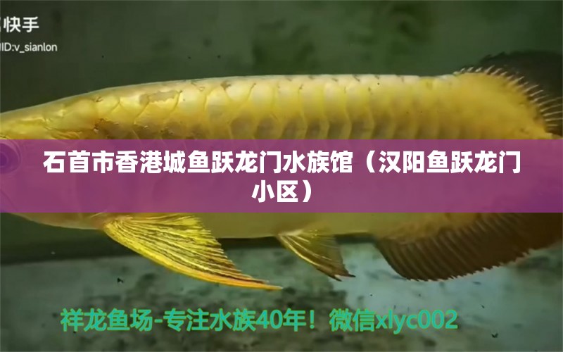 石首市香港城魚躍龍門水族館（漢陽魚躍龍門小區(qū)）