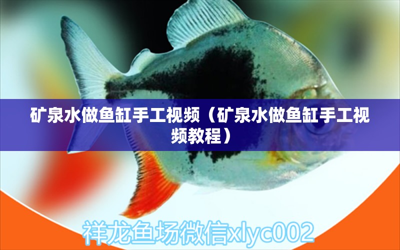 礦泉水做魚(yú)缸手工視頻（礦泉水做魚(yú)缸手工視頻教程） 觀賞魚(yú)市場(chǎng)（混養(yǎng)魚(yú)）