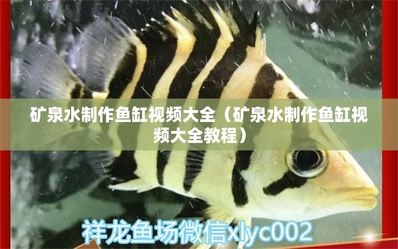 礦泉水制作魚缸視頻大全（礦泉水制作魚缸視頻大全教程） 祥龍魚場