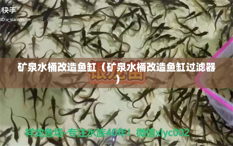 礦泉水桶改造魚缸（礦泉水桶改造魚缸過濾器） 觀賞魚市場（混養(yǎng)魚）