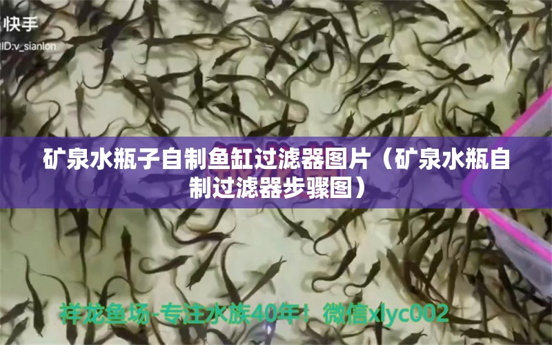 礦泉水瓶子自制魚缸過濾器圖片（礦泉水瓶自制過濾器步驟圖） 薩伊藍(lán)魚