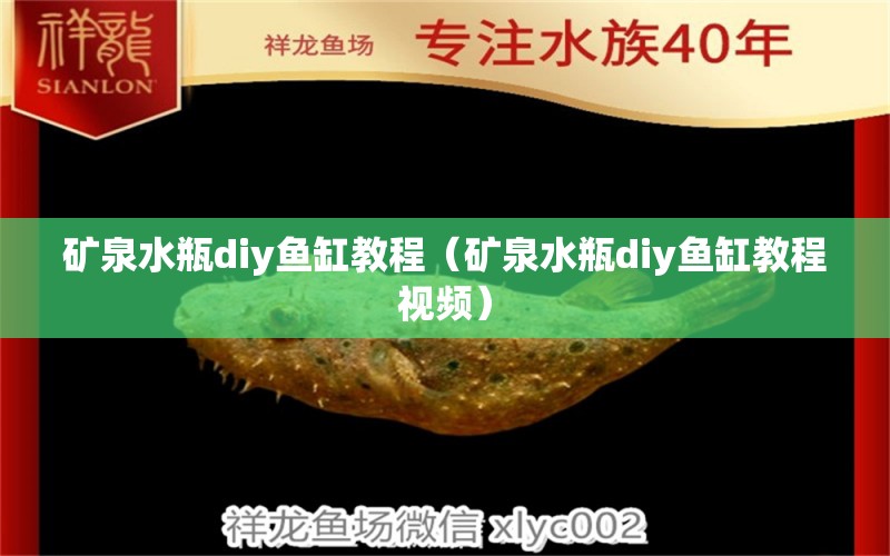 礦泉水瓶diy魚缸教程（礦泉水瓶diy魚缸教程視頻）