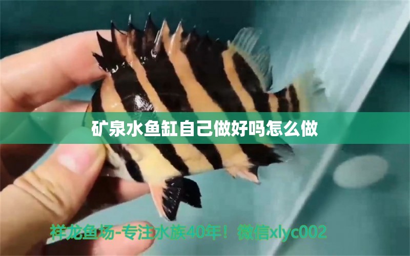 礦泉水魚(yú)缸自己做好嗎怎么做