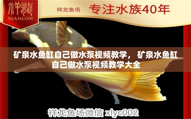 礦泉水魚(yú)缸自己做水泵視頻教學(xué)， 礦泉水魚(yú)缸自己做水泵視頻教學(xué)大全