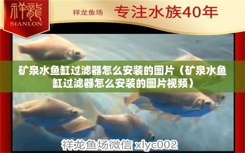 礦泉水魚缸過濾器怎么安裝的圖片（礦泉水魚缸過濾器怎么安裝的圖片視頻） 高背金龍魚