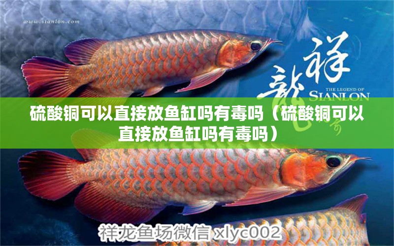 硫酸銅可以直接放魚缸嗎有毒嗎（硫酸銅可以直接放魚缸嗎有毒嗎）