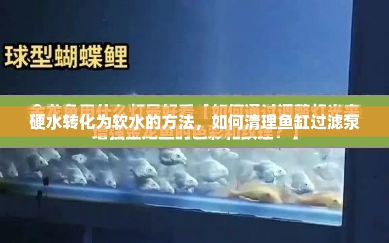 硬水轉化為軟水的方法，如何清理魚缸過濾泵