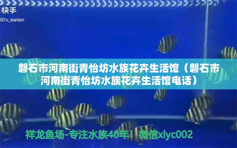 磐石市河南街青怡坊水族花卉生活館（磐石市河南街青怡坊水族花卉生活館電話）