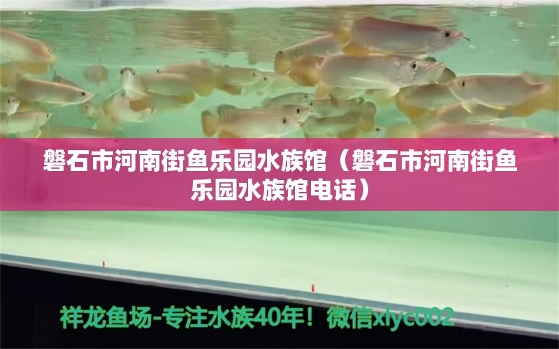 磐石市河南街魚樂園水族館（磐石市河南街魚樂園水族館電話）